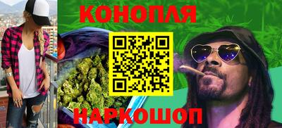 СК Будённовск