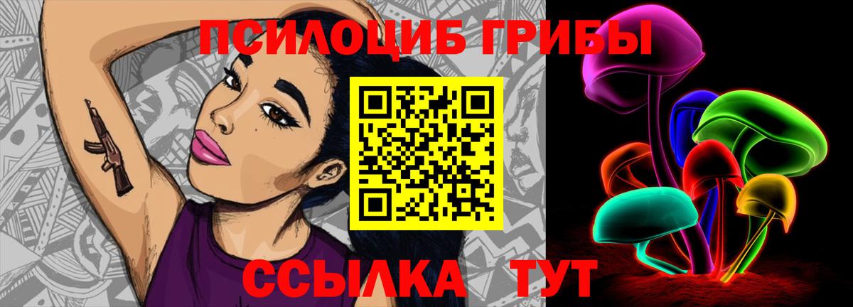 Ливны  цена наркотик  Вход с VPN  Галлюциногенные грибы Psilocybine cubensis 